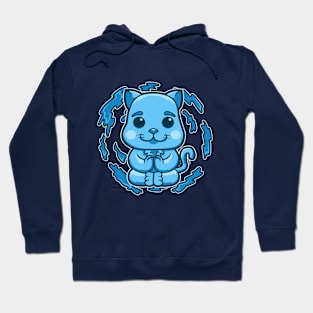 Water Cat Hoodie